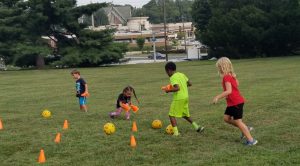 Soccer crop