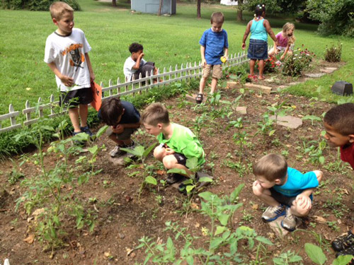 Organic Farming for Kids Les Petits Cherubs