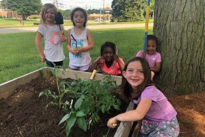 Summer Camp Gardening